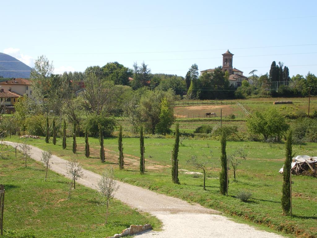 Agriturismo Ai Linchi Lucca Dış mekan fotoğraf